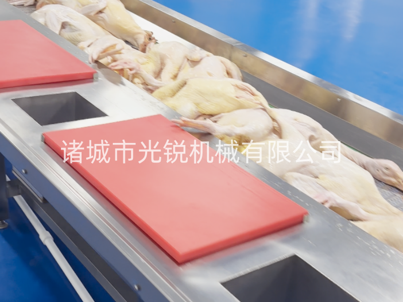 凍鴨加工不用愁！一站式解凍清洗分割流水線，效率翻倍！