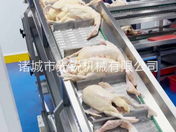 凍鴨加工不用愁！一站式解凍清洗分割流水線，效率翻倍！